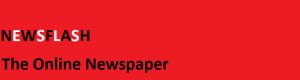 Newsflash logo